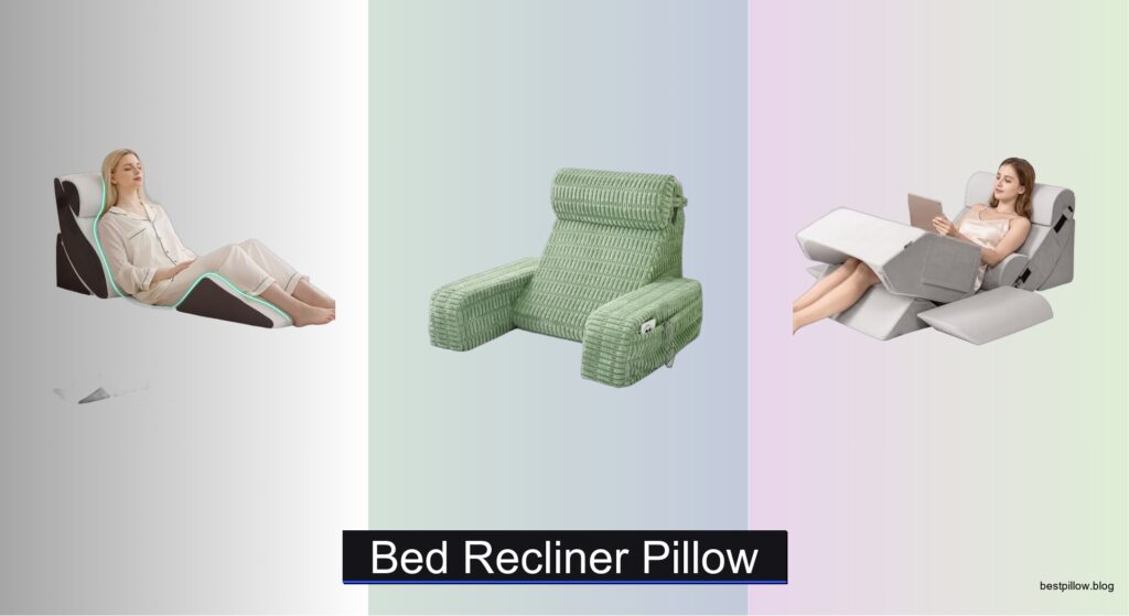 8 Best Bed Recliner Pillows of 2026